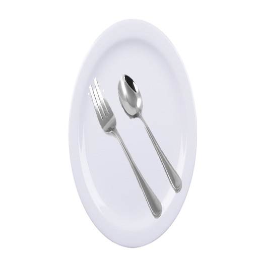 Melamine Plates,Stainless steel Fork and Spoon